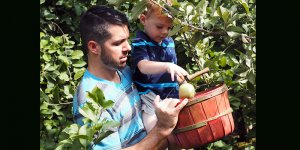 Agritourism Farms Take Precautions During Fall Season