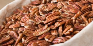 NC Pecan Growers Expect Plentiful Crop